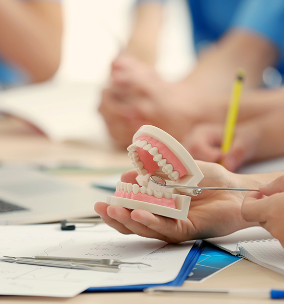 West Palm Beach dentist showing a patient a model of the teeth