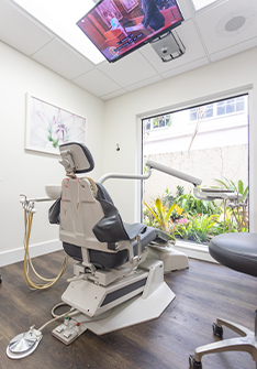 Dental treatment room with ferns visible out of the window