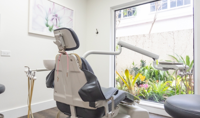 Dental treatment room with ferns visible through window